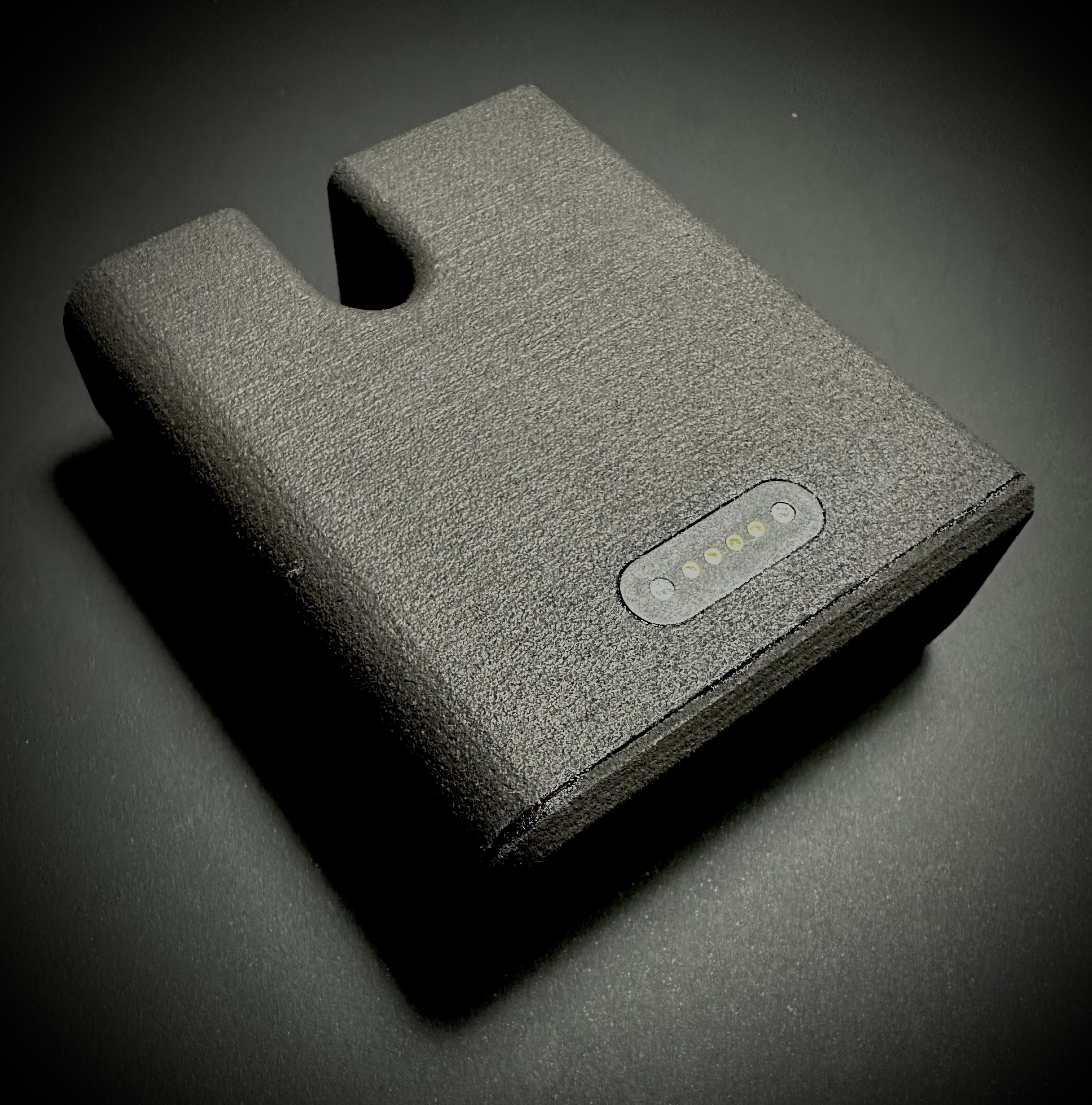 MX Live Timing device — back